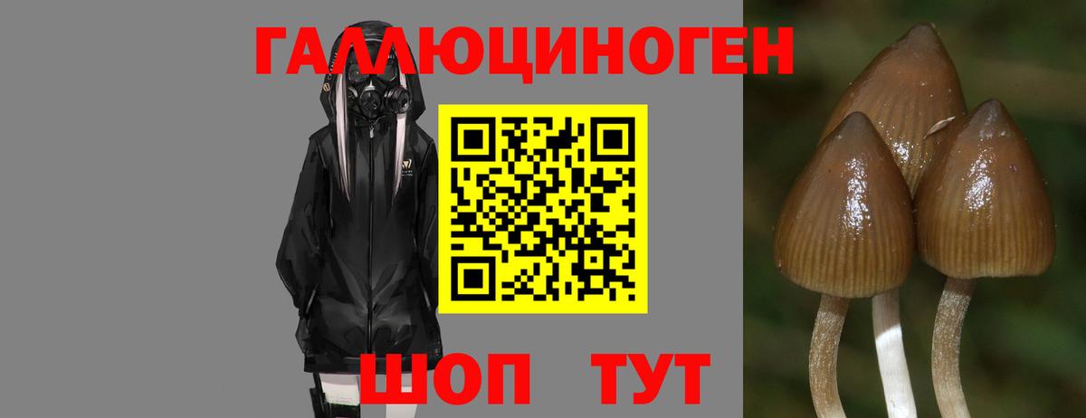 Псилоцибиновые грибы ЛСД  Галлюциногенные грибы мухоморы  Вход с VPN  Лангепас 